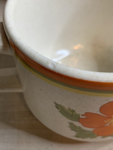 Lenox Temperware Fire Flower Orange Poppies Mug Cup Dessert Bowl Retro Lot of 8 - Picture 7 of 9