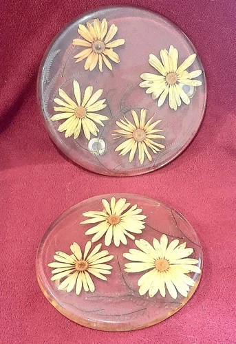 VTG 70's Pair Round Lucite Trivets Daisy Flowers Capricia Creations 8"& 6" USA - product listing photo