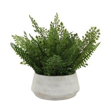 Everyday Decor | Mixed Artificial Ferns in Lo...