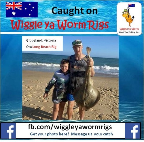 Wiggle ya Worm Hand Tied 60lb/40lb Long Cast Beach Pulley Rig No1, 2x 1/0 hooks - Picture 7 of 12