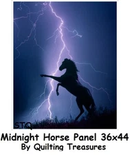 Midnight Storm Horse Panel 36x44 cotton quilt fabric Quilting Treasures fabrics