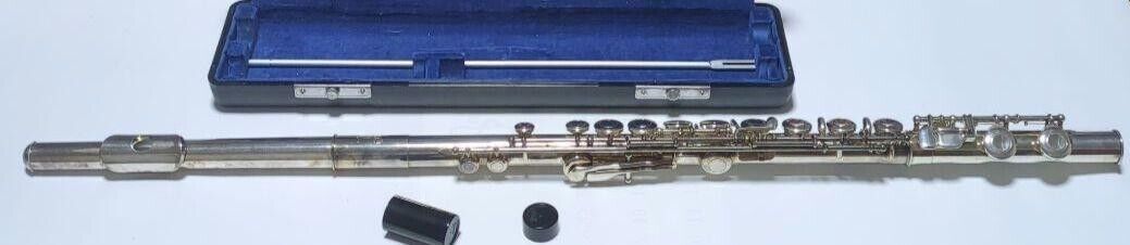 Flute Pearl NC-500ES | eBay Flute Pearl NC-500ES | eBay