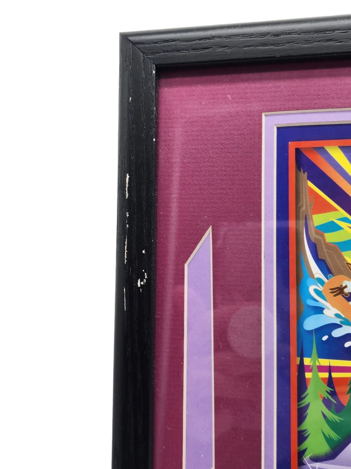 Juego de 6 prendedores enmarcados Disneyland boleto electrónico emociones Splash Mountain Space Dreamin' RARO Foto 3 de 4