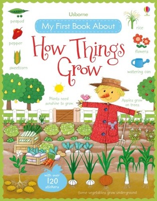HOW THINGS GROW by Felicity Brooks Paperback Self Help Business