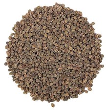 Ajmod - Apium Graveolens - Celery Seeds
