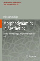 Morphodynamics in Aesthetics Essays On The Singularity Of The Work Of Art Buch