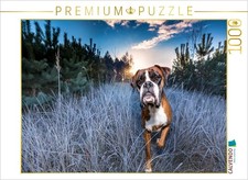 CALVENDO Puzzle Frostiger Sonnenaufgang  1000 Teile Lege-Gr  e 64  48 cm Foto-