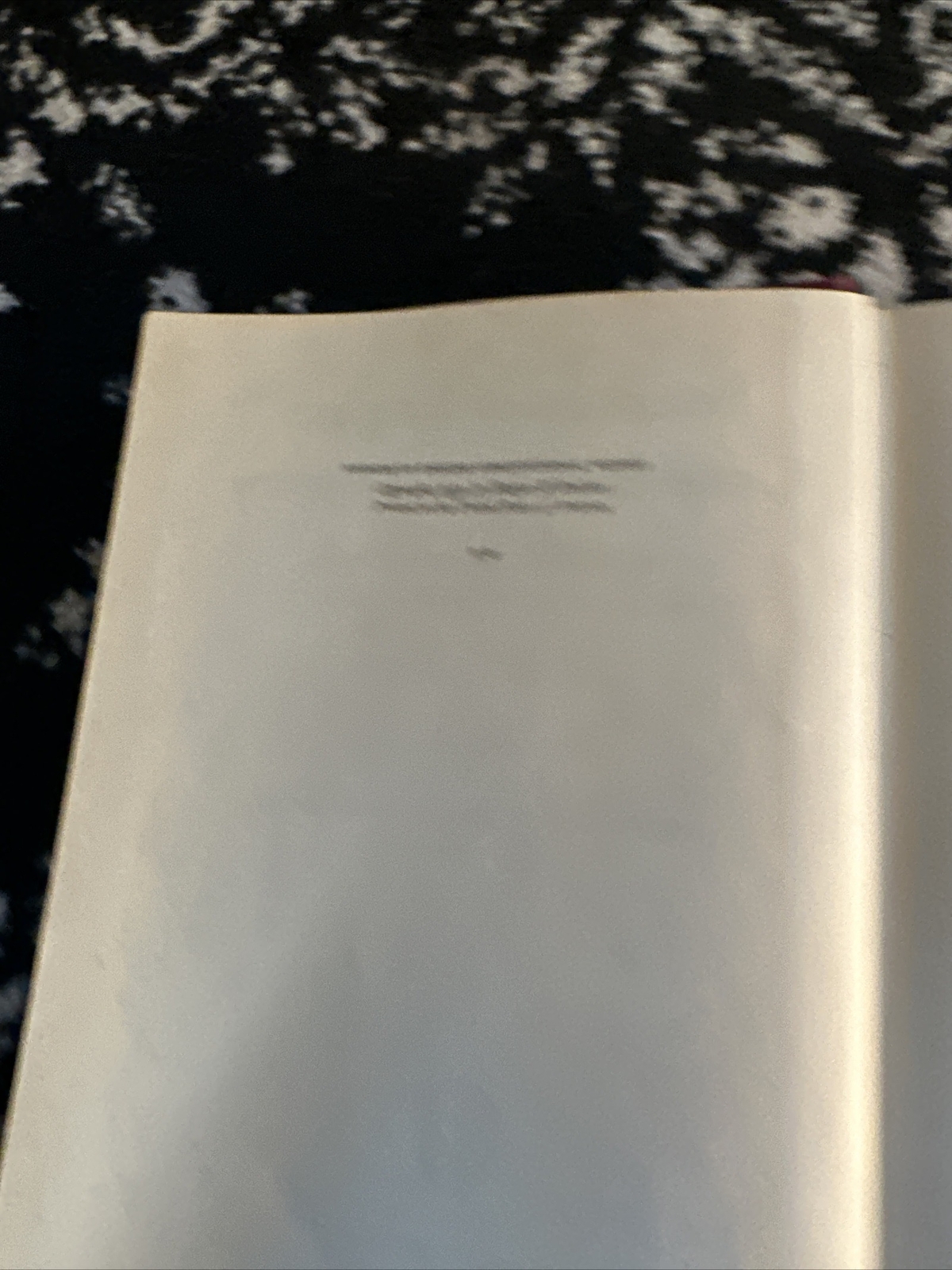 Picture 3 of 6