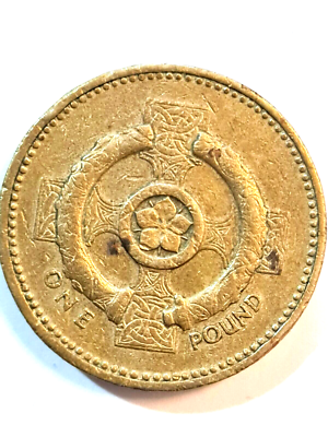 Queen Elizabeth - I I D-G-REG-F-D-1996 £1 COIN ALSO KNOWN AS