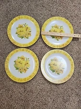 Vintage National Home Products NPH Artisan Ware Melamine Flowers 10” Plates Rare