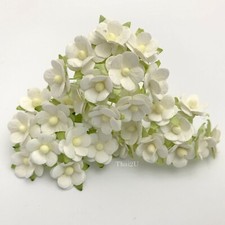 5/8" -1.5cm White Cottage Paper flower Wedding Card Scrapbook Craft WH-S10 
