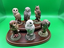 Royal Doulton - 6 x Royal Doulton Owls on a Wooden Display Stand 