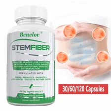 Digestive Enzymes Prebiotics and Probiotics Improve Gas Constipation  Bloating