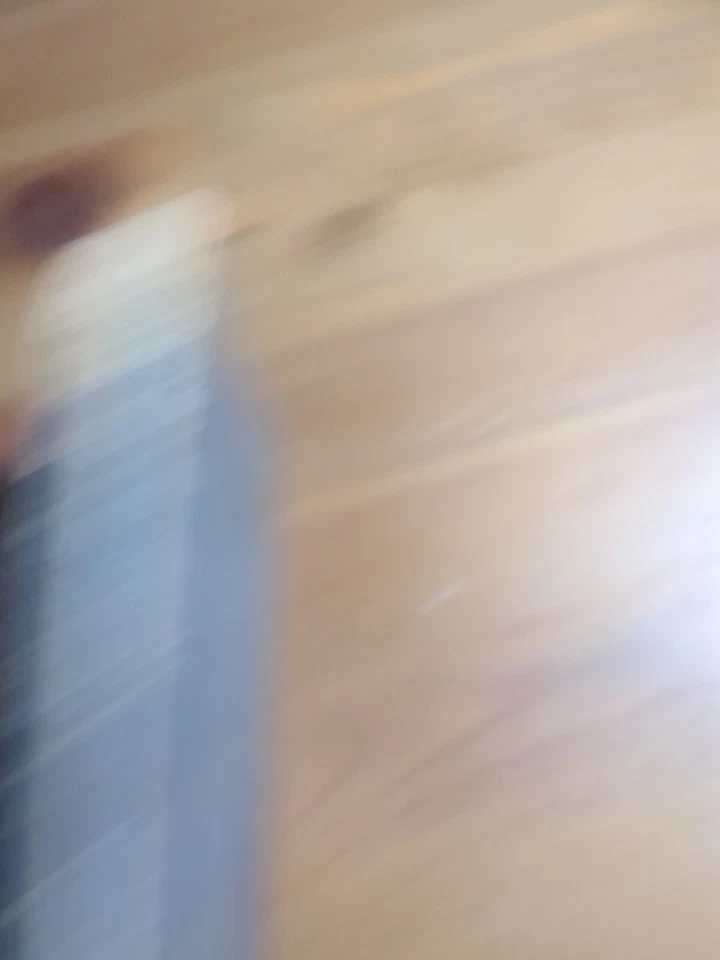 Areopagitica by John Milton 1868 - Image 3 of 4