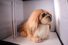 Applause Avanti Pekingese Puppy Dog Plush Toy Sunburnt Coloring