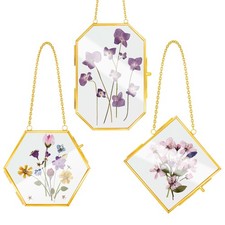 3 Pcs Glass Frame for Pressed Flowers Brass Wall Hanging Artwork Display with...