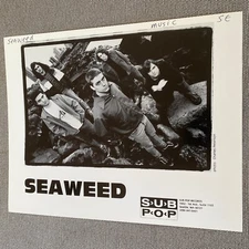 Seaweed Press Photo 8x10”. Sub Pop Records. See Description.