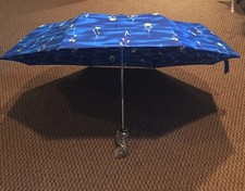 It's Raining Flowers Blue Umbrella