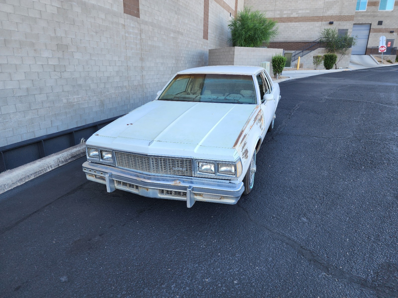1979 Chevrolet Caprice for sale in Tucson Arizona