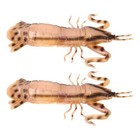  2 Pcs Voice Animal Model Marine Toys Fake Lifelike Shrimp Models
