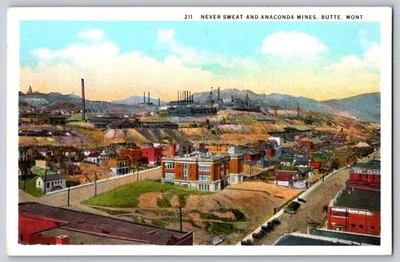 MT Butte Never Sweat Anaconda Mines Exterior View Building Postcard c1930