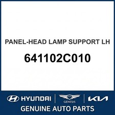 2001-2006 Hyundai Tiburon Side Panel Oem New 641102c010