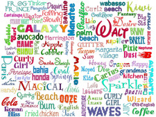 Mega Bundle 80 Best Seller Embroidery Fonts, DST Machine Embroidery Designs, USB