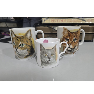 Royal Worcester England+Japan Set of 3 Cat Mugs Bone China Porcelain