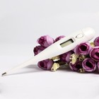 Electronic thermometer for baby monitoring tool temperature detector