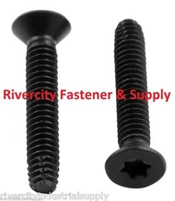 (100) 1/4-20 X 1-1/4 TRAILER / DOCK TRUCK FLOOR FLOORBOARD DECK SCREWS T30 DRIVE