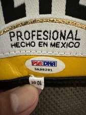 Mike Tyson And Julio Cesar Chavez Signed Boxing Gloves Reyes. 