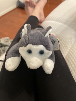 Ty Beanie Baby Nanook the Huskey DOB November 21, 1996 MWMT Free  Shipping