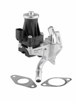 BorgWarner (Wahler) 710979D Agr-Ventil FüR CitroËN Ford Land Rover Peugeot