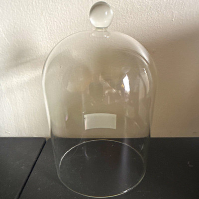 Porch View Home Clear Glass Cloche Dome w/ Knob Top 8 x 4.5  PHDEAC220367