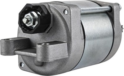 Starter Motor WildBoar 410-54166