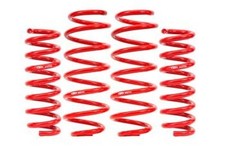 BMR Suspension SPD110 Demon Killer Drag Springs for Dodge Challenger &