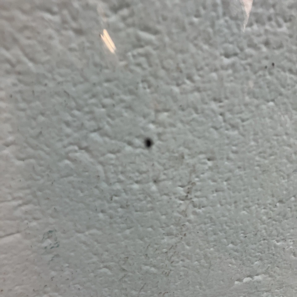 Parabrisas tintado trasero central GM 1957 4 puertas Oldsmobile/Buick usado OEM (RW107B) Foto 4 de 4