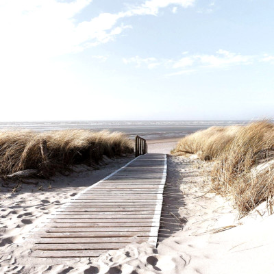 Eurographics DG-DT5284 Deco Glass 20x20, Morning Walk, Meer, Strand, NEU/OVP