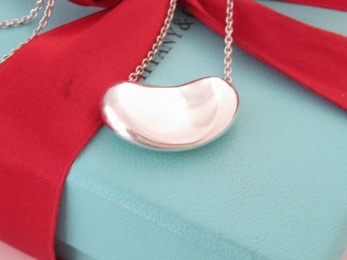 Charm Pendant Necklace 