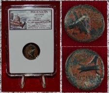 Ancient Coin PHOENICIA ARADOS Zeus and Galley Bronze 