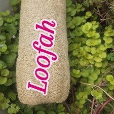loofah sponge 100 natural 6"