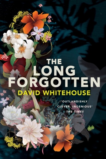 The Long Forgotten by David Whitehouse HARDBACK 9781509827510