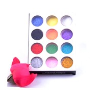 12 Mixed Color Acrylic Glitter Shimmer Dust Powder For Nail Art Craft Decorate 12 Mixed Color Acrylic Glitter Shimmer Dust Powder For Nail Art Craft Decorate