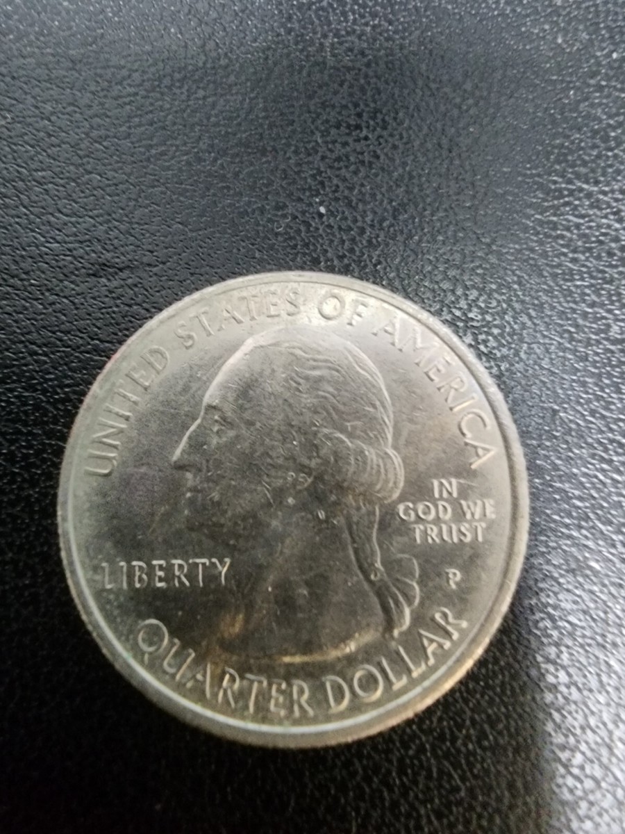 2017 P Error District of Columbia Frederick Douglas Die Chip Rev