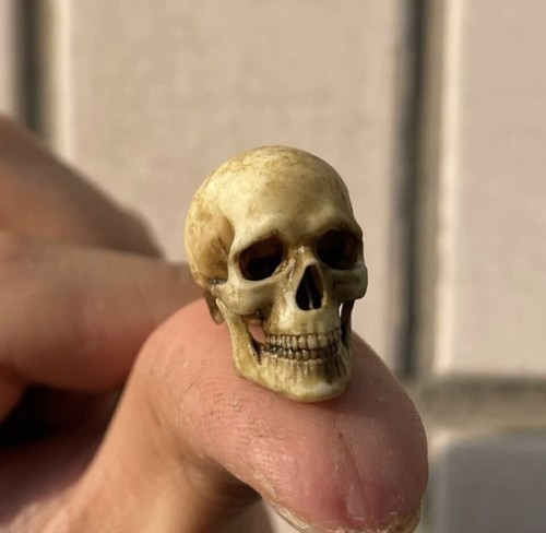1/12 Scale Human Beings Skeleton PVC Model for 6" Action Figure Accessory Toys - Picture 11 of 24