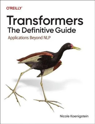 Transformers: The Definitive Guide | Applications Beyond NLP | Koenigstein
