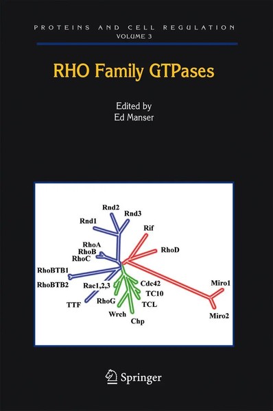 Edward J Manser | Rho Family Gtpases | Taschenbuch | Englisch (2010) | Xiv-image