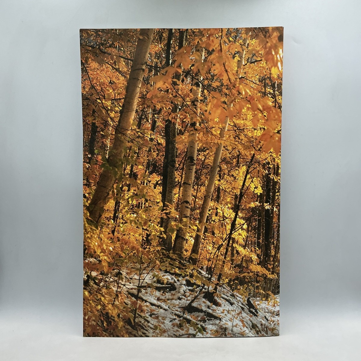 趣味 Mountain Magazine 28,48,40,57,66,76,77 RARE- Mountain Gazette Magazine 204 Fall 2025- When In Doubt, Go