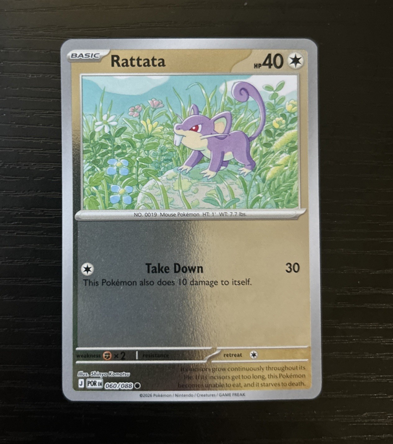 Pokémon TCG Rattata Reverse Holo 60/88 Perfect Order