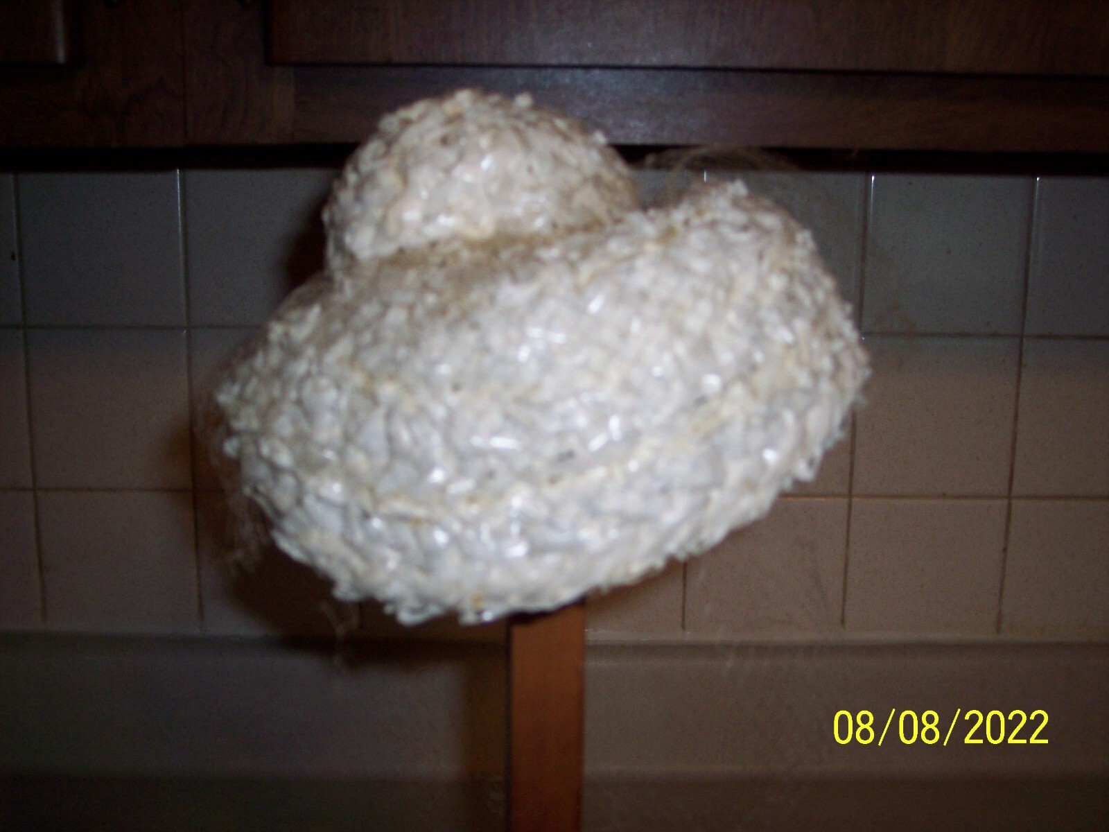 Picture 5 of 6